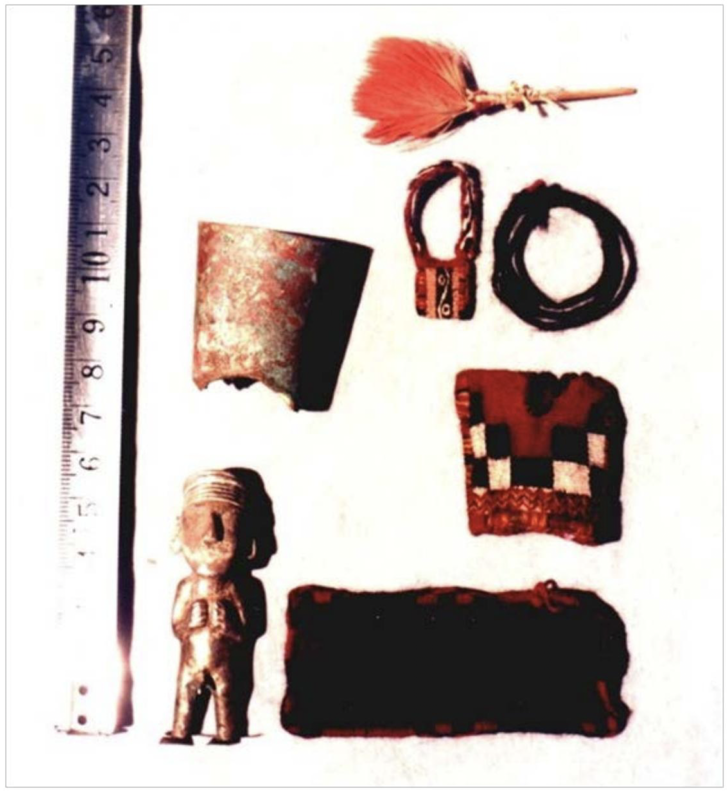 Incan artifacts found at about 6,200 m on Cerro Mercedario