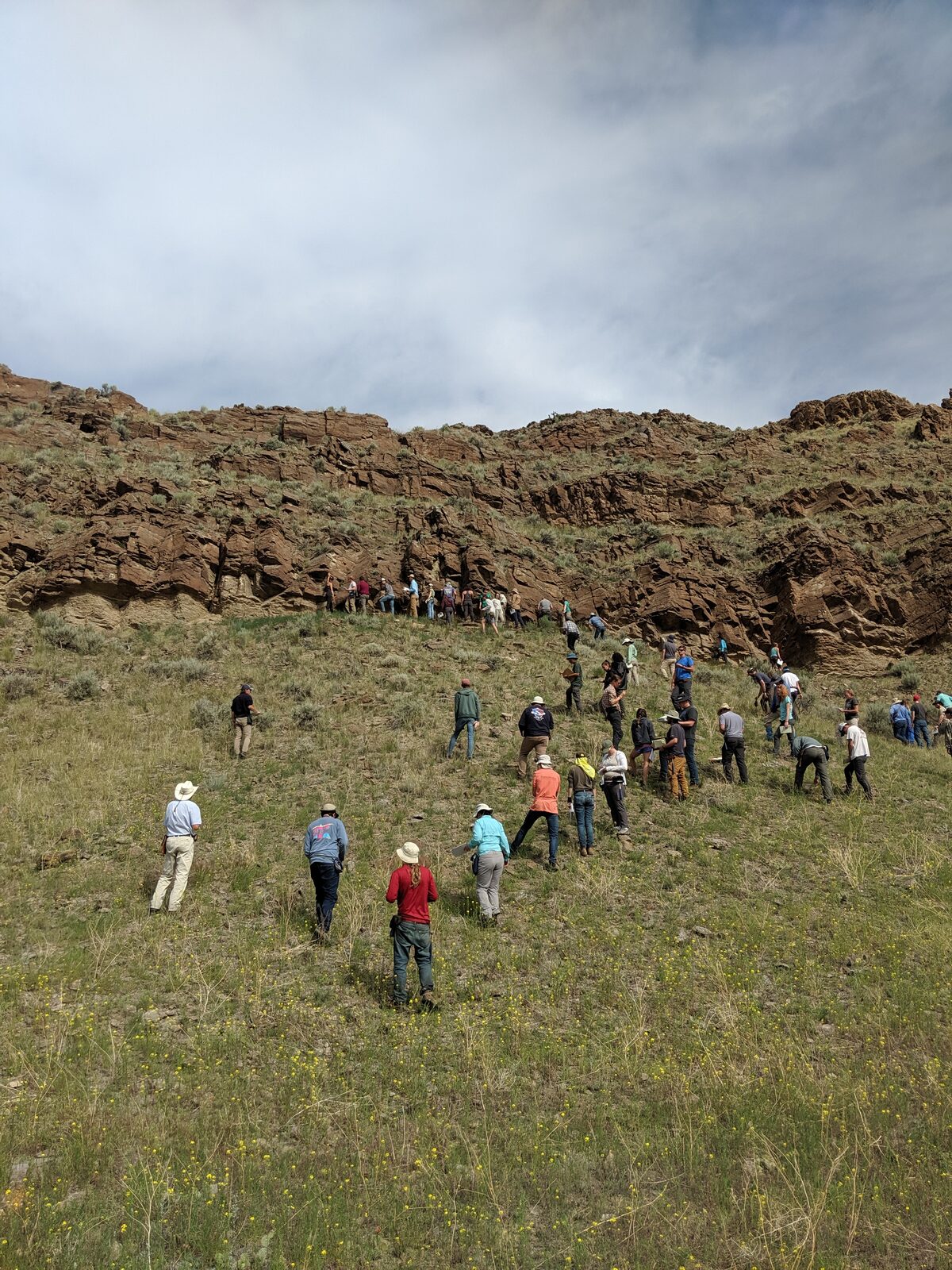 Field camp students gathered around an outcrop