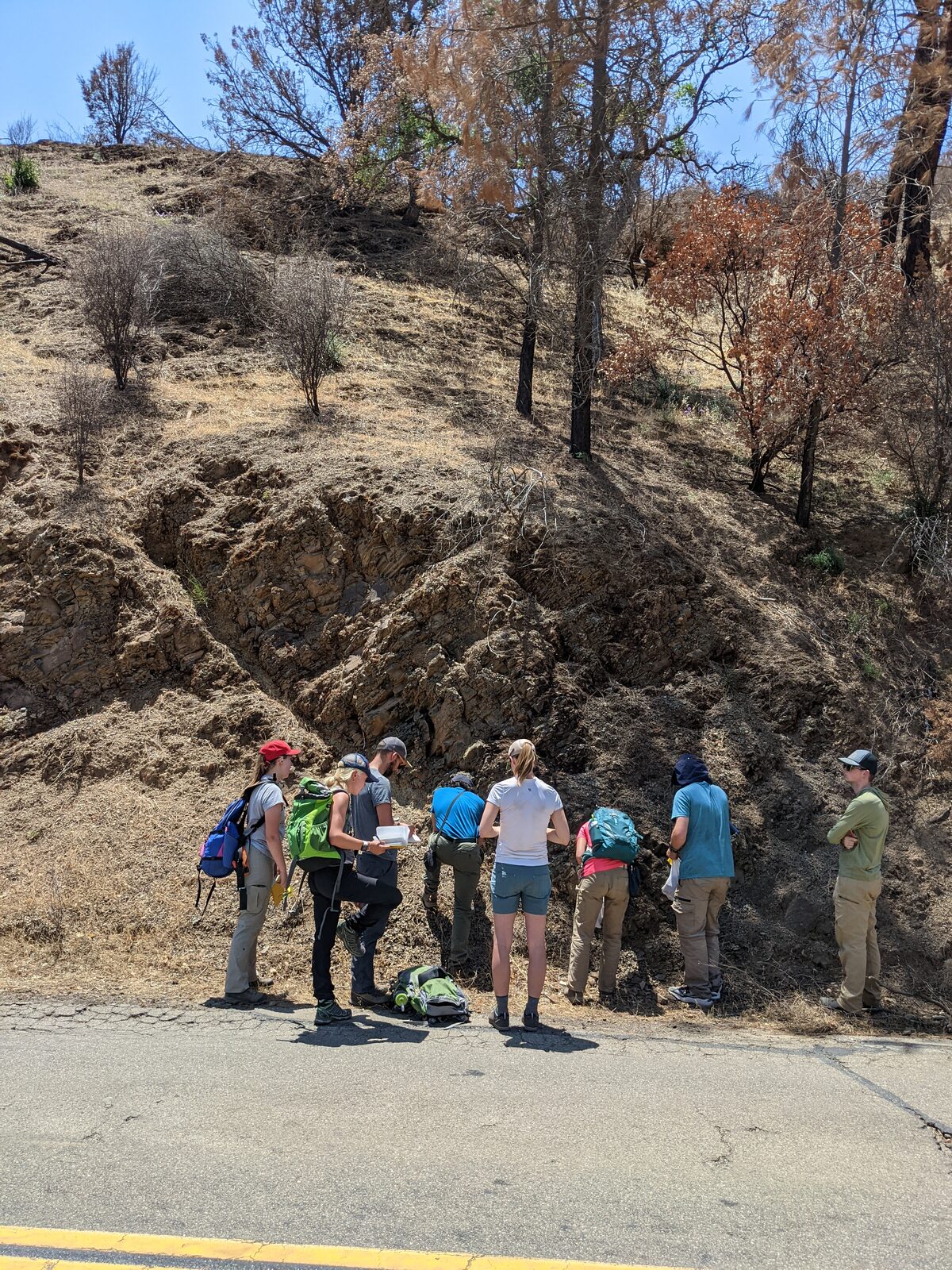 MSU SUR students in the Great Valley forearc basin