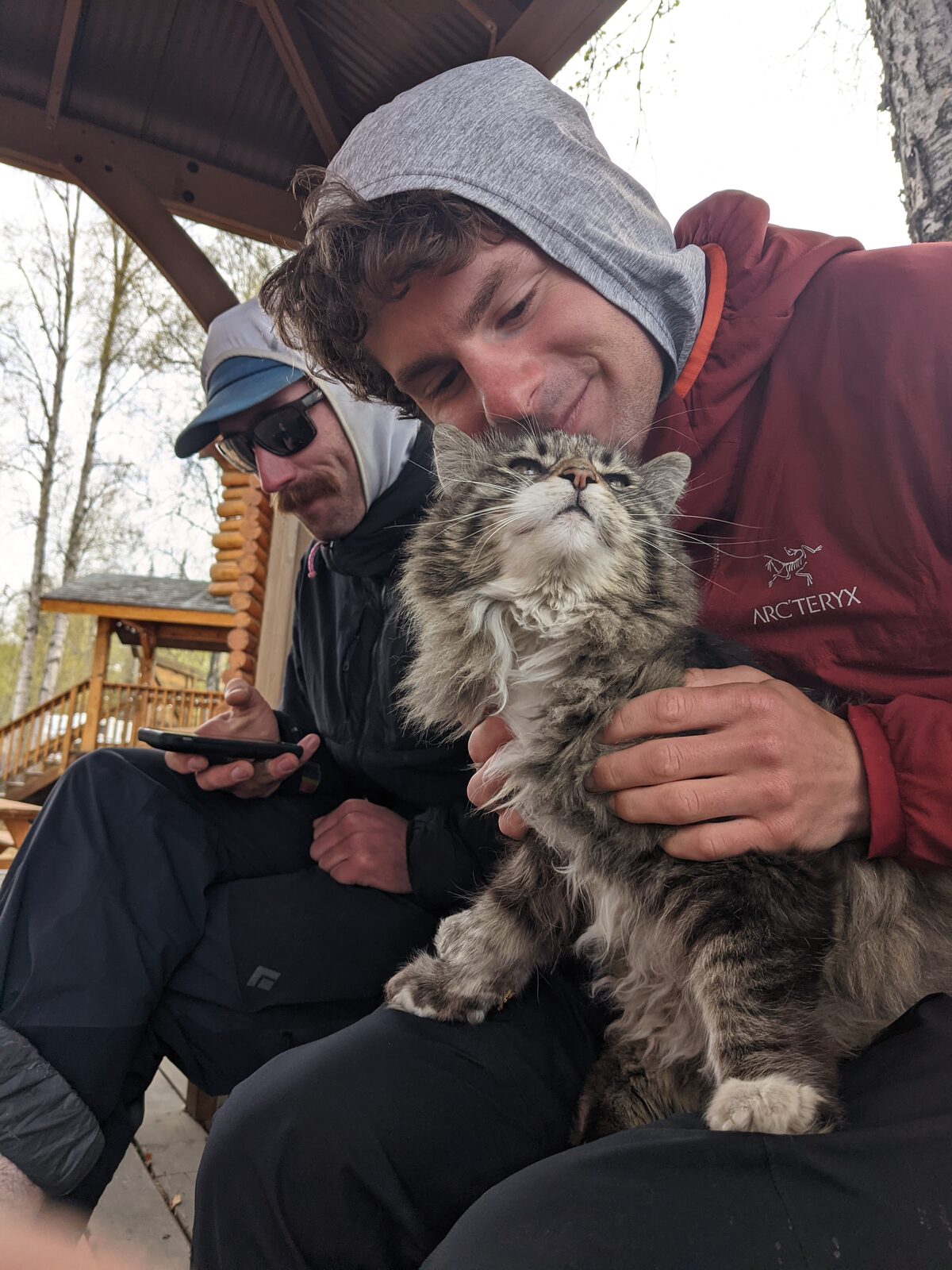 Beaver, the Talkeetna Air Taxi cat