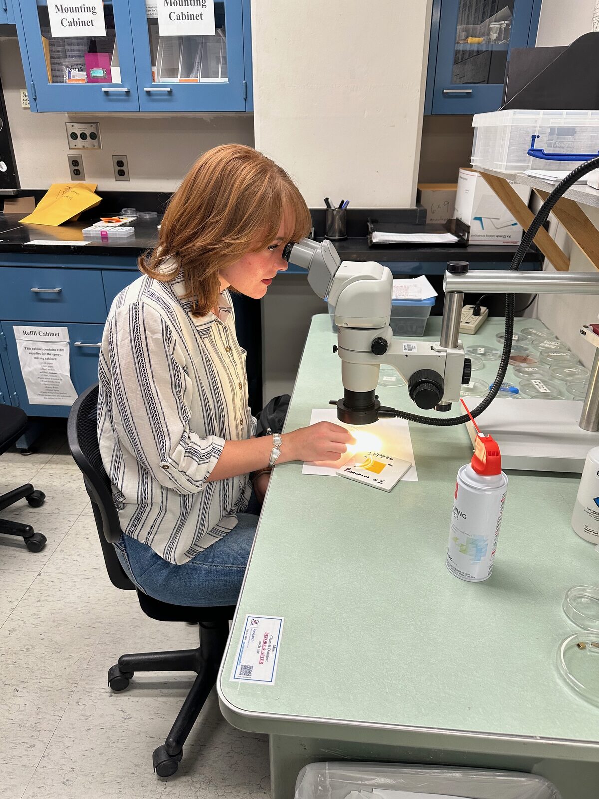 Amarissa Cramer working at a microscope in the lab