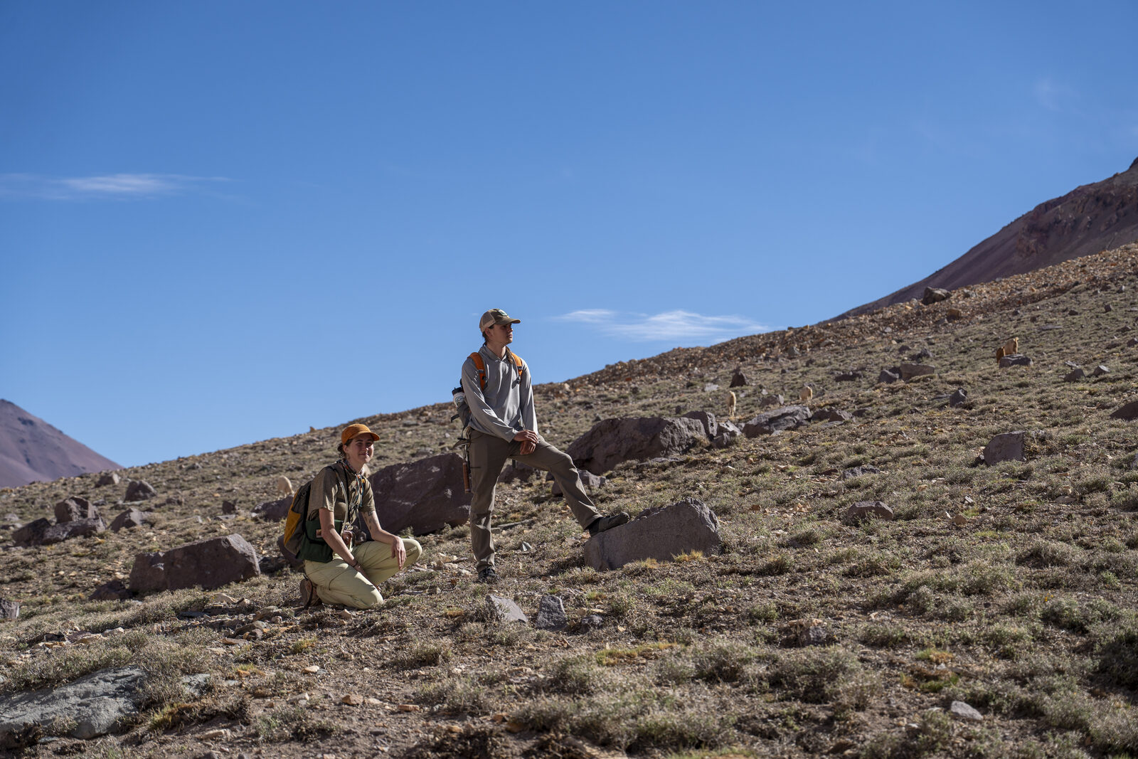 Parker and Tiana herding goats in the High Andes